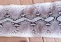 Snakeskin to cover a 2-inch rod #1.